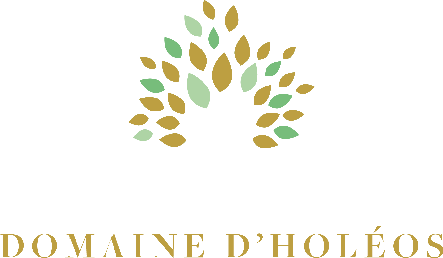 Domaine d'Holéos logo